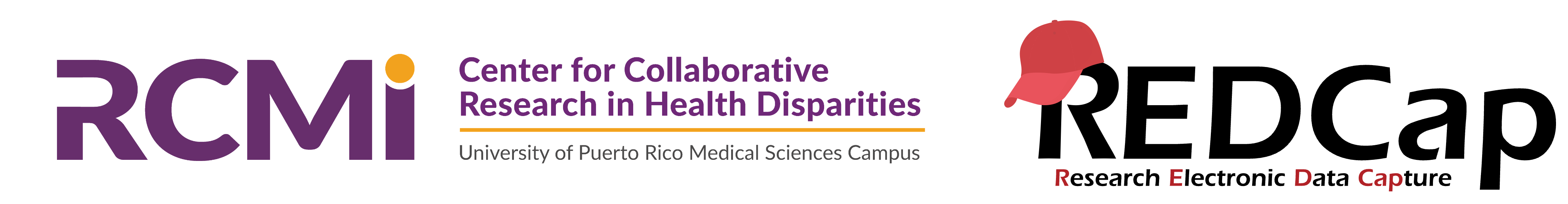 CCRHD-RCMI Program
